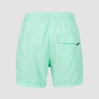 Zwemshort Vert Retro 14'' | Beach Glass