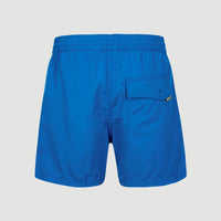 Zwemshort Vert Retro 14'' | Princess Blue