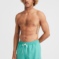 Cali State 15'' Zwemshort | Sea Green