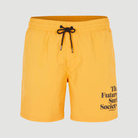 Cali FSS 16'' Zwemshort | Nugget