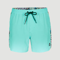 Zwemshort Coast Ocean 15'' | Blue Topaz