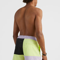 Zwemshort Wilder Colourblock 16'' | Sunny Lime Colour Block