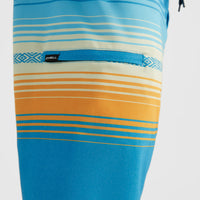 Boardshort Heat Stripe Line 19'' | Princess Blue