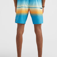 Boardshort Heat Stripe Line 19'' | Princess Blue