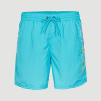 Zwemshort Cali Melted Print 16'' | Bachelor Button