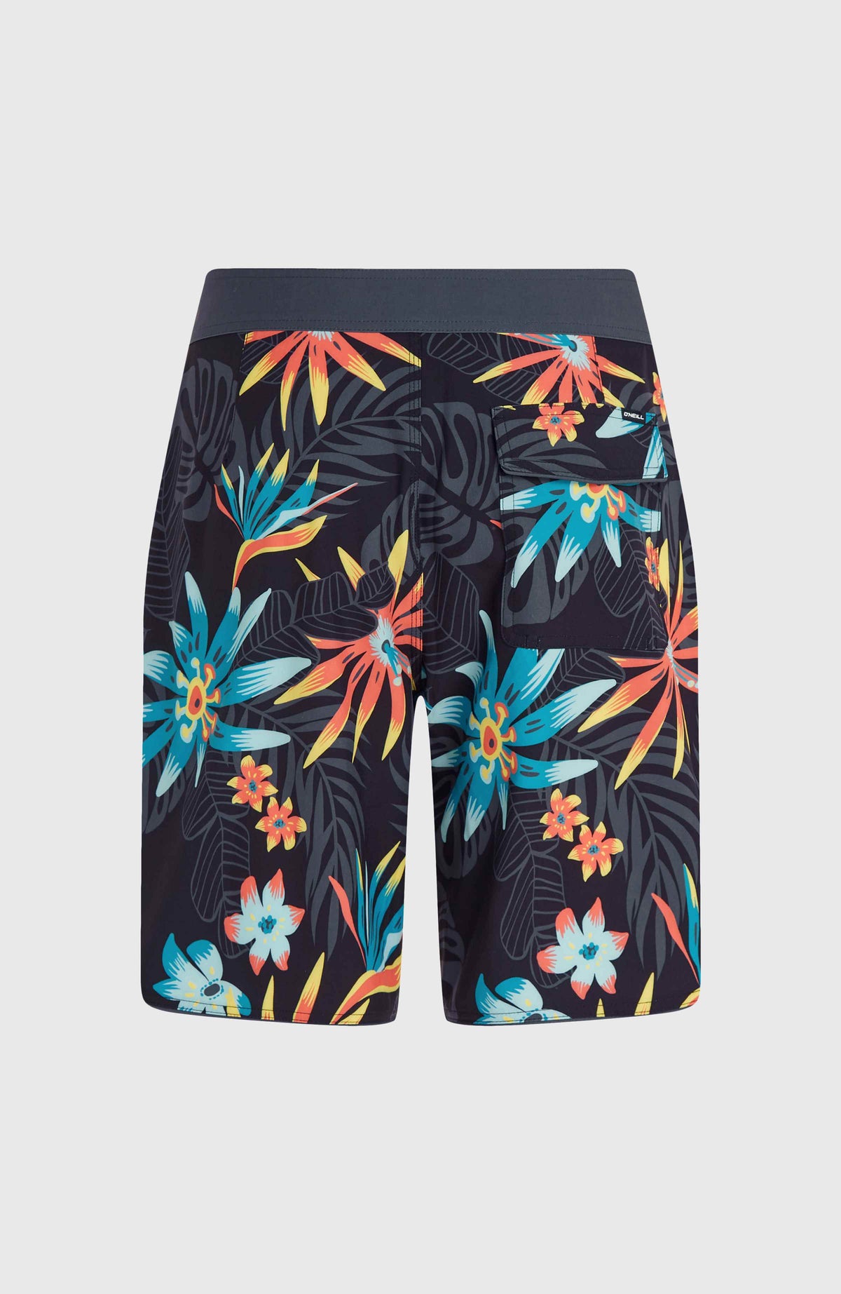 Hyperfreak Mysto Scallop 19'' boardshort | Black Mysto Scallop