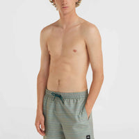 Jack O'Neill Cali First 15'' zwembroek | Green First Name Stripe