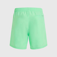 Cali 16'' zwembroek | Neon Green