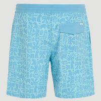 Boardshort OG Cruzer 18'' | Aqua Haze