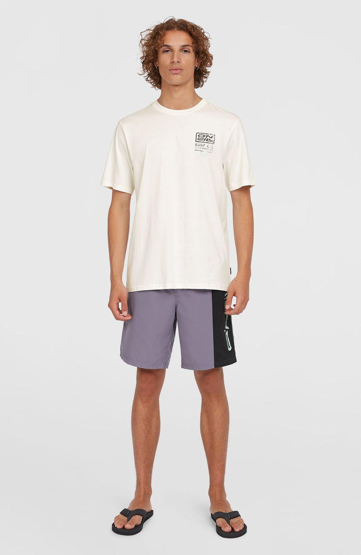 Retro 19'' zwembroek | Storm Colour Block