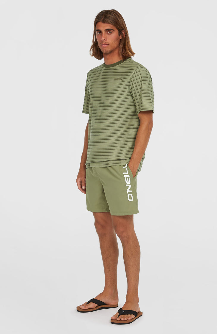 Cali 16'' zwembroek | Avery Fern