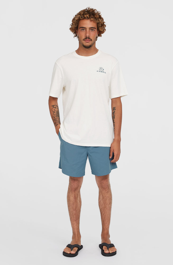 O'Neill Vert 16'' zwembroek | Copen Blue