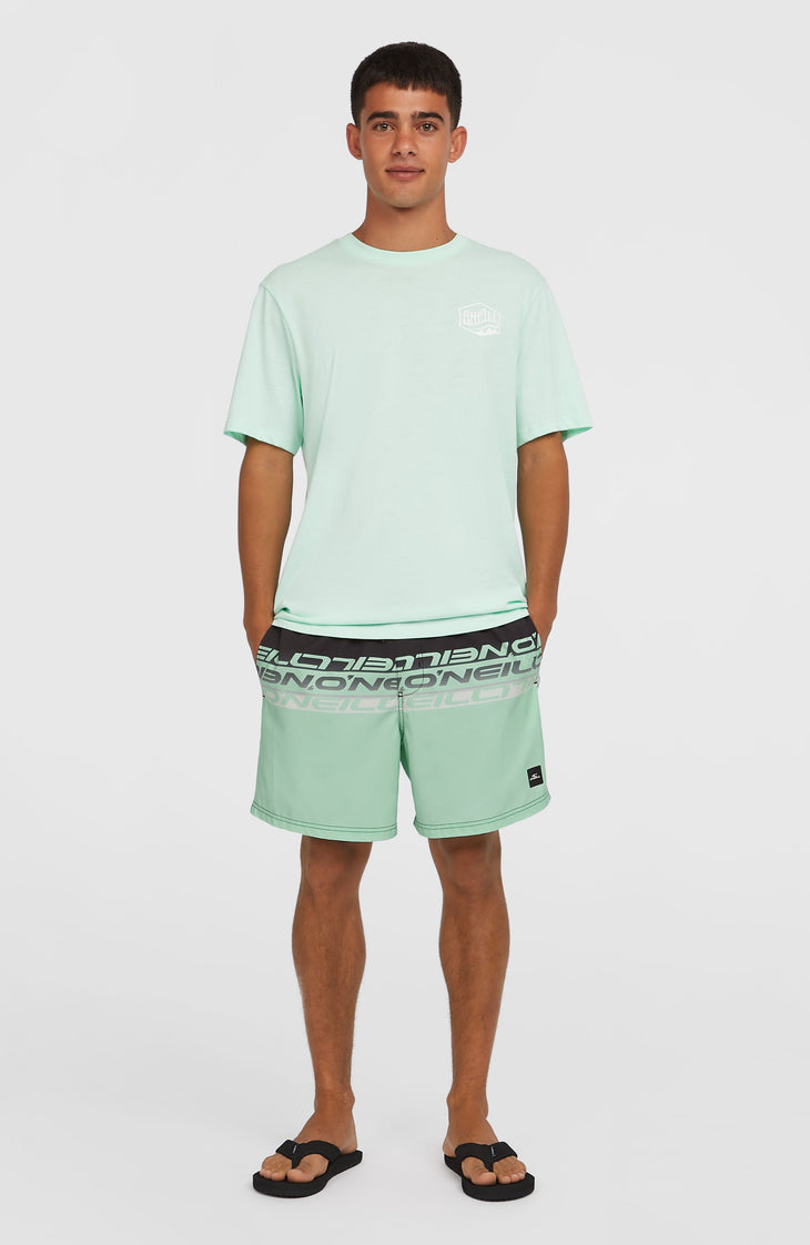 Cali Stripe 16'' zwembroek | Green/Black Upside Down Clean