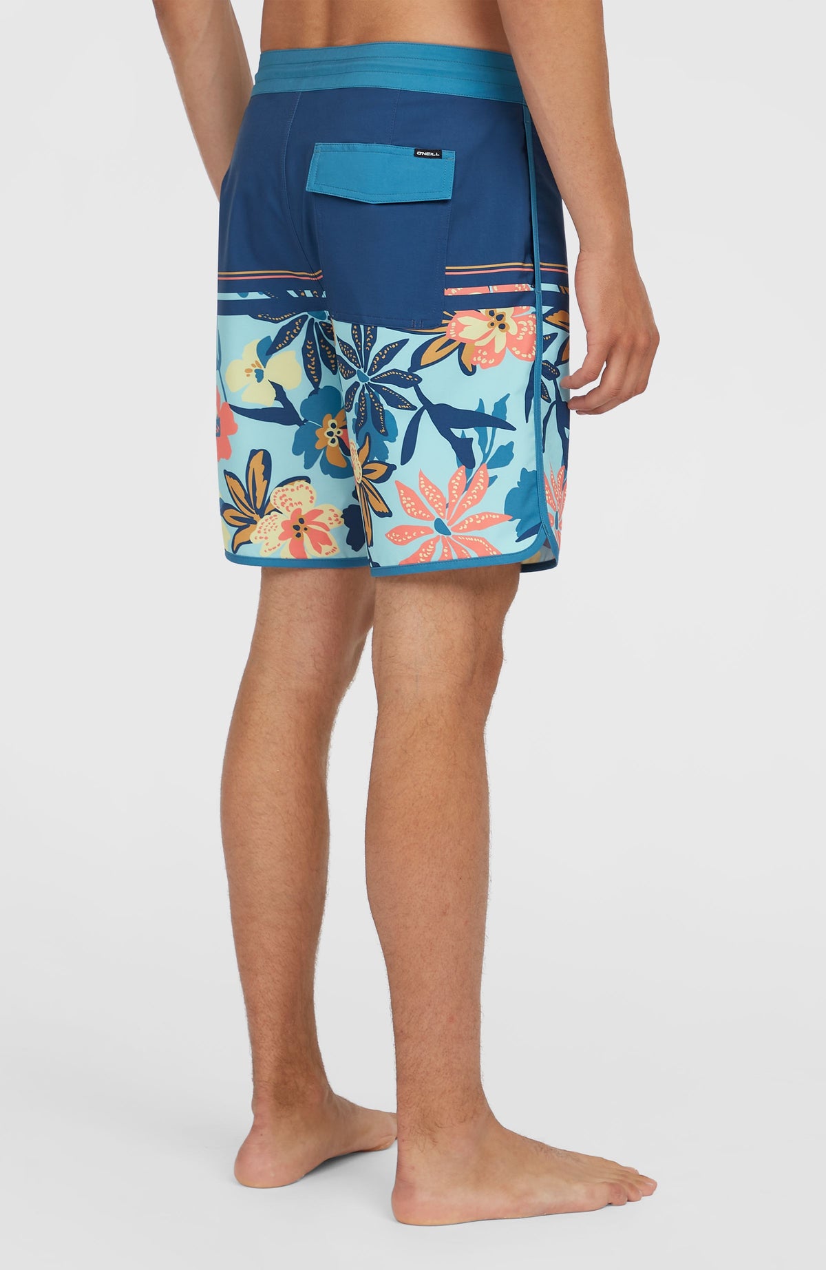 Cruzer Scallop 18'' boardshort | Indigo Scallop