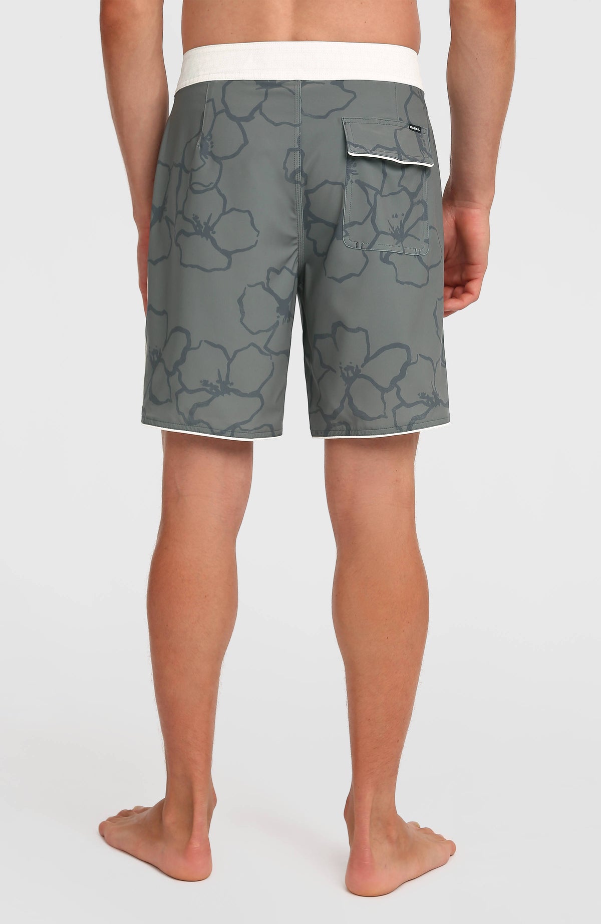 Hyperfreak Mysto Scallop 19'' boardshort | Mulled Basil Mysto Scallop