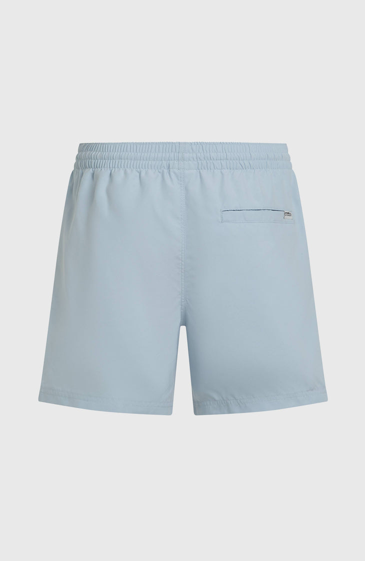 O'Neill Block 15'' zwembroek | Blue Tropicana Big