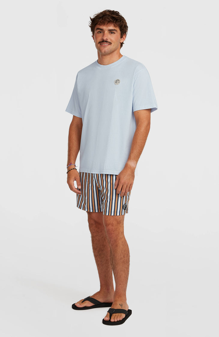 O'Riginals Stripe 15'' zwembroek | Blue Originals stripe