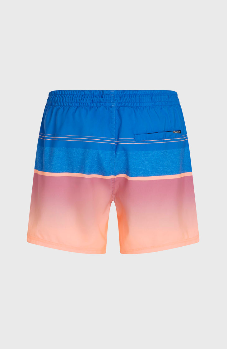 O'Neill Gradient 15'' zwembroek | Blue Gradient Stripe