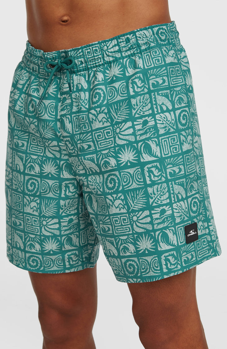 O'Neill Print 16'' zwembroek | Blue Bricks