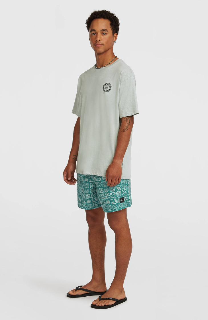O'Neill Print 16'' zwembroek | Blue Bricks