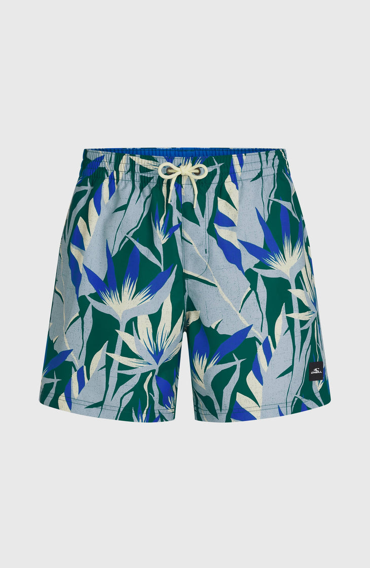 O'Neill Print 16'' zwembroek | Blue Tropicana Big