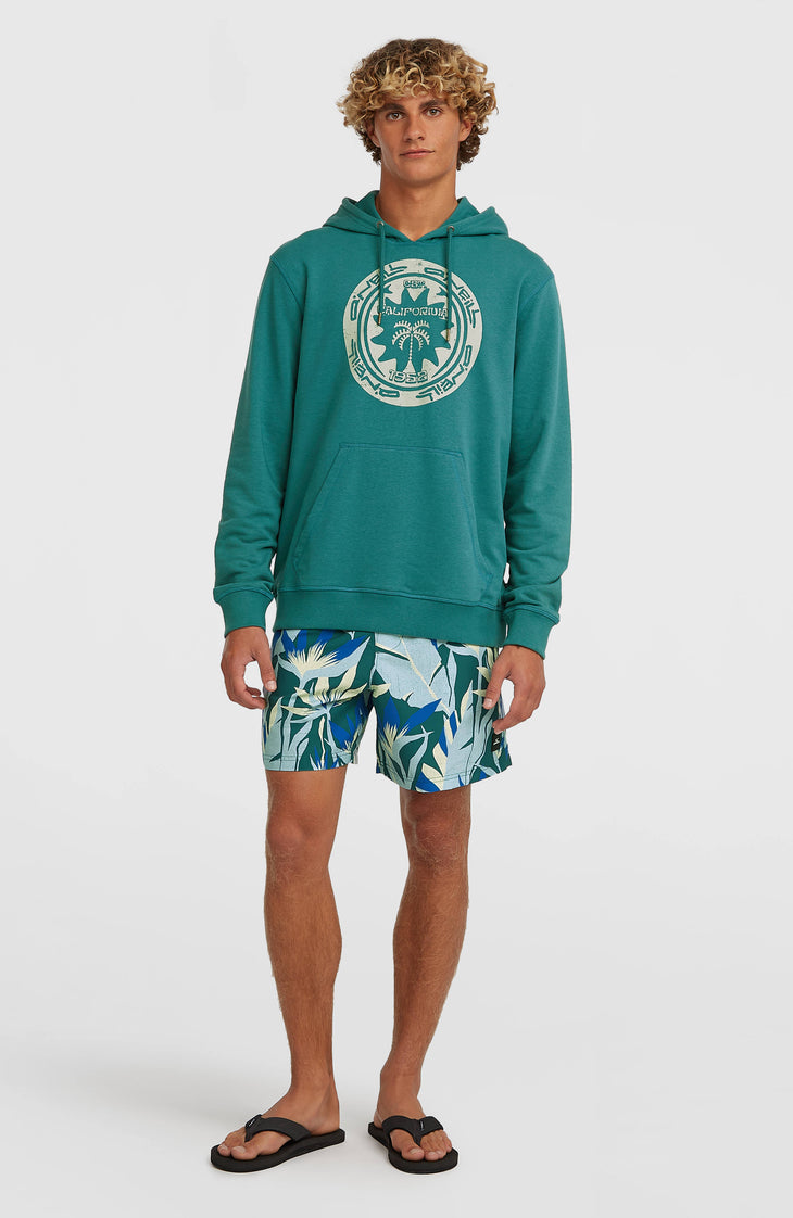 O'Neill Print 16'' zwembroek | Blue Tropicana Big