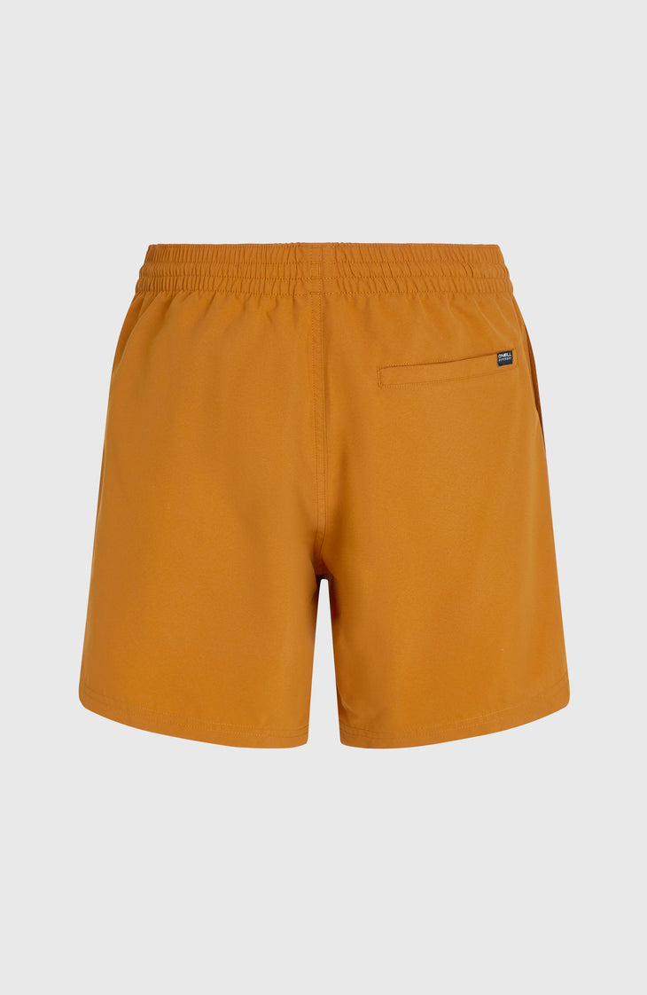 O'Neill Cali 16'' zwembroek | Tandoori