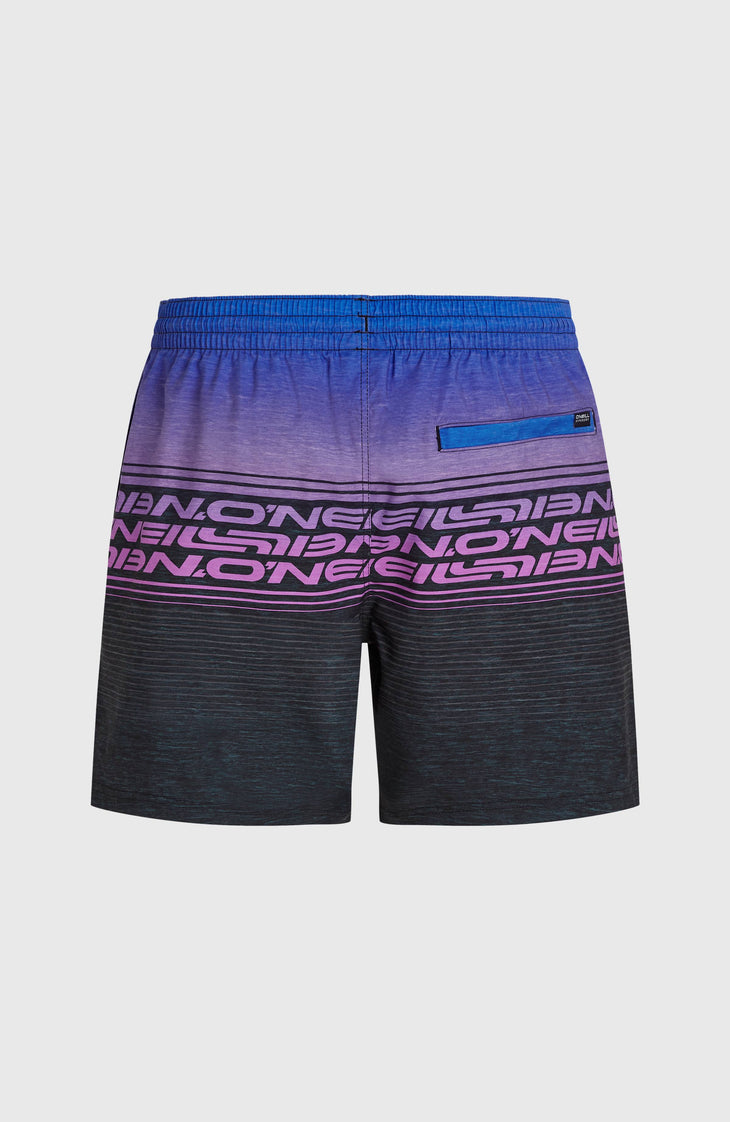 Logo Stripe 16'' zwembroek | Blue Heritage O'Neill Stripe