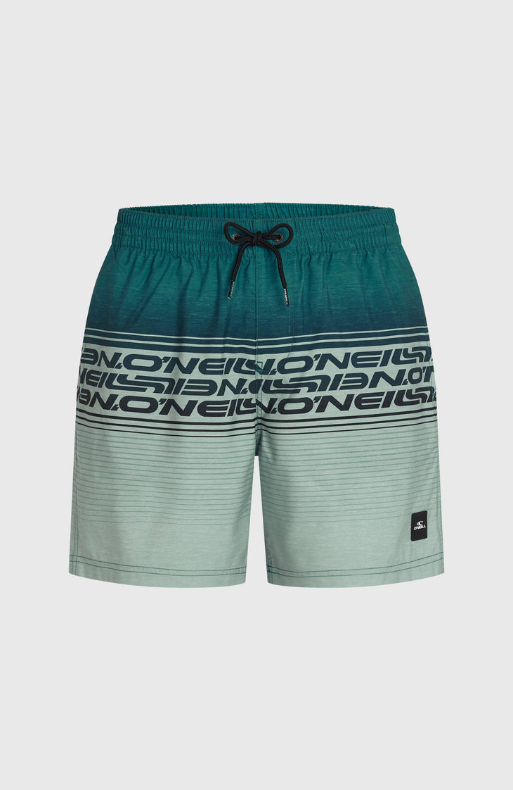 Logo Stripe 16'' zwembroek | Green Heritage Stripe