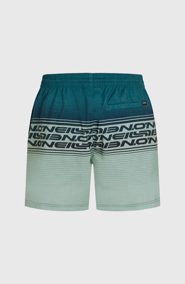 Logo Stripe 16'' zwembroek | Green Heritage Stripe
