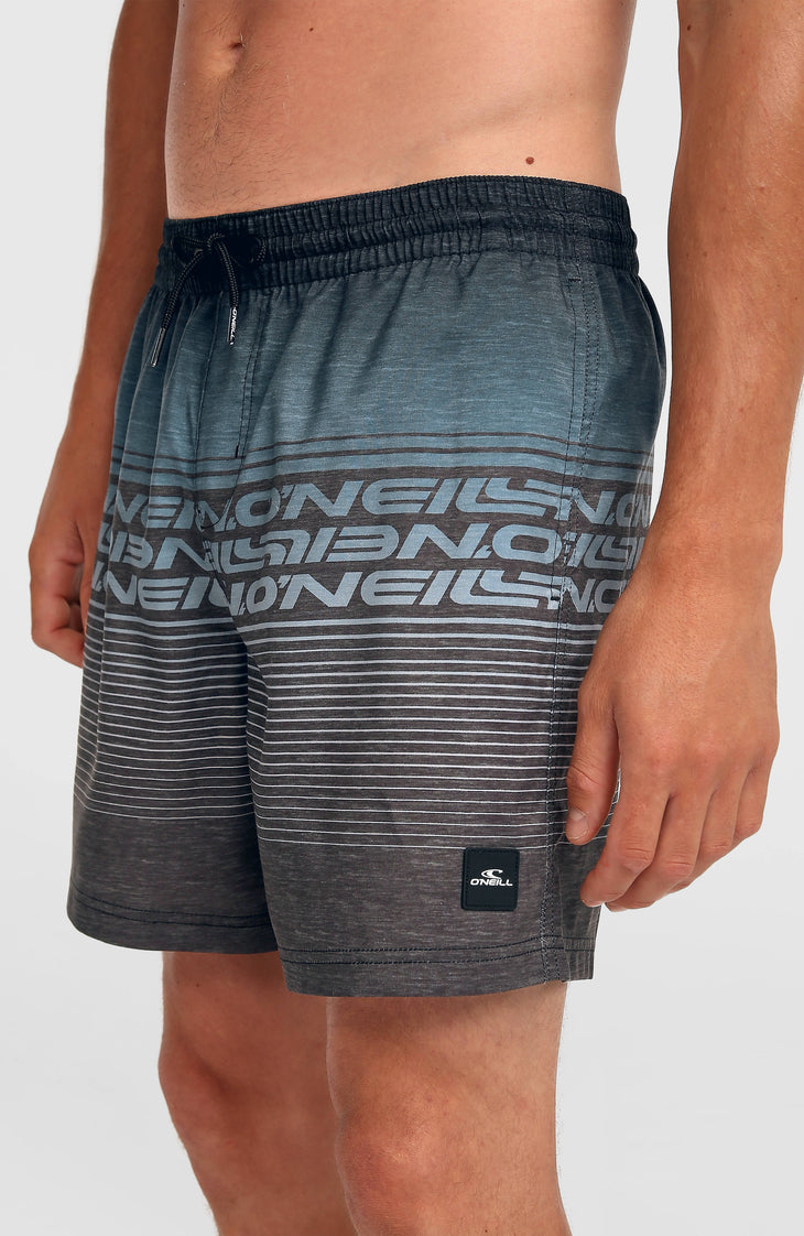 Logo Stripe 16'' zwembroek | Black Out Heritage O'Neill Stripe