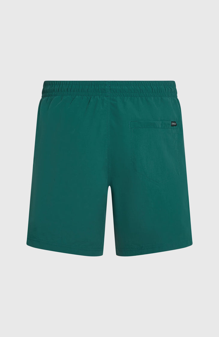 O'Neill Vert 16'' zwembroek | Botanical Heat