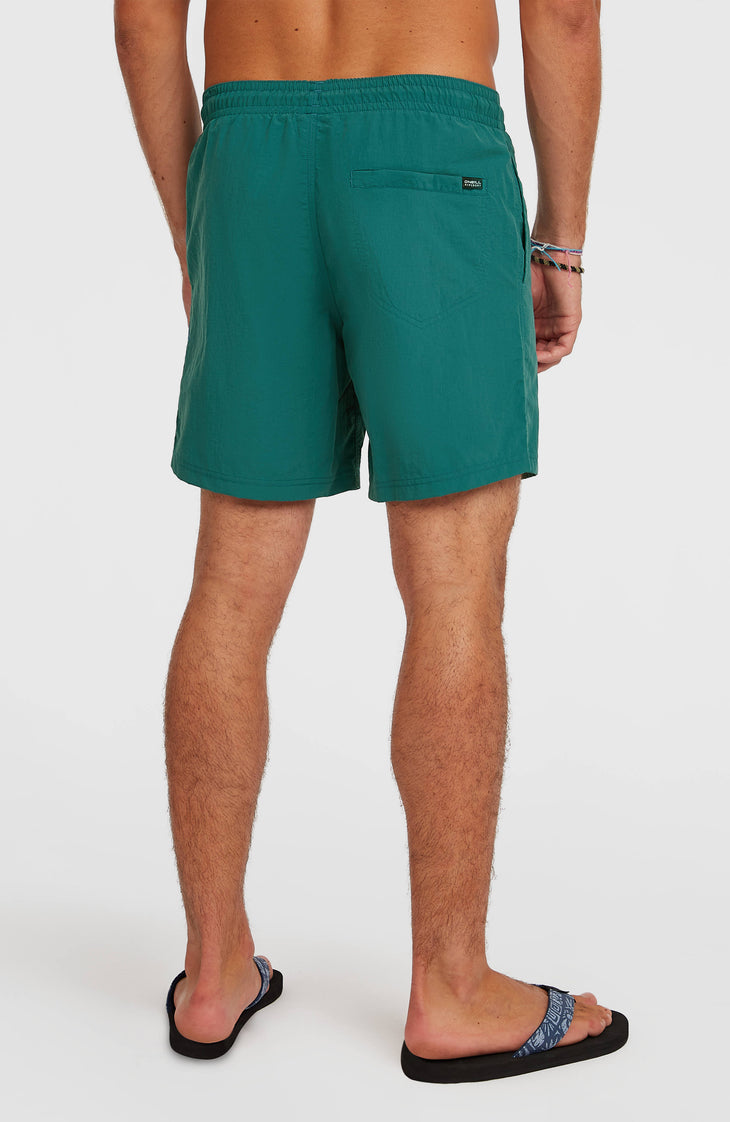 O'Neill Vert 16'' zwembroek | Botanical Heat