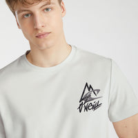 T-shirt O'Neill TRVLR Series Plutoniam | London Fog