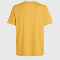O'Neill Hybrid Logo Polygiene T-shirt | Golden Haze
