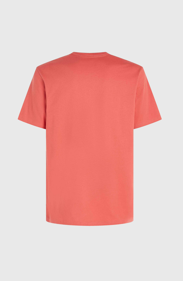 O'Neill TRVLR Series Pacific Polygiene T-shirt | Red Orcher
