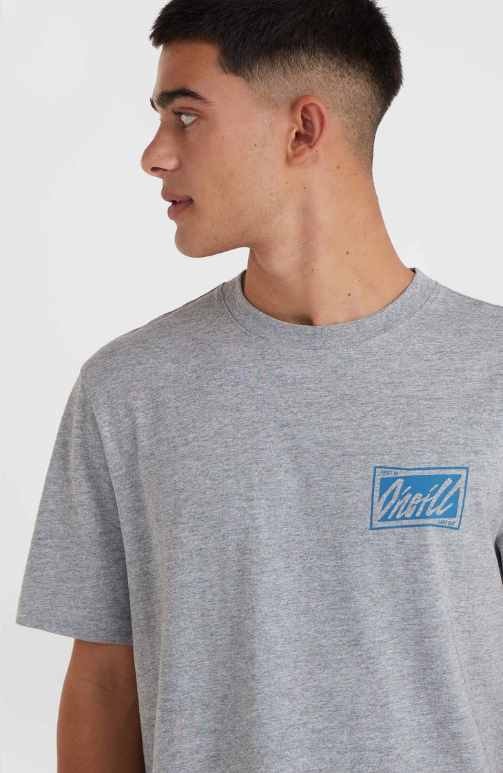 O'Neill Beach Graphic T-shirt | Silver Melee