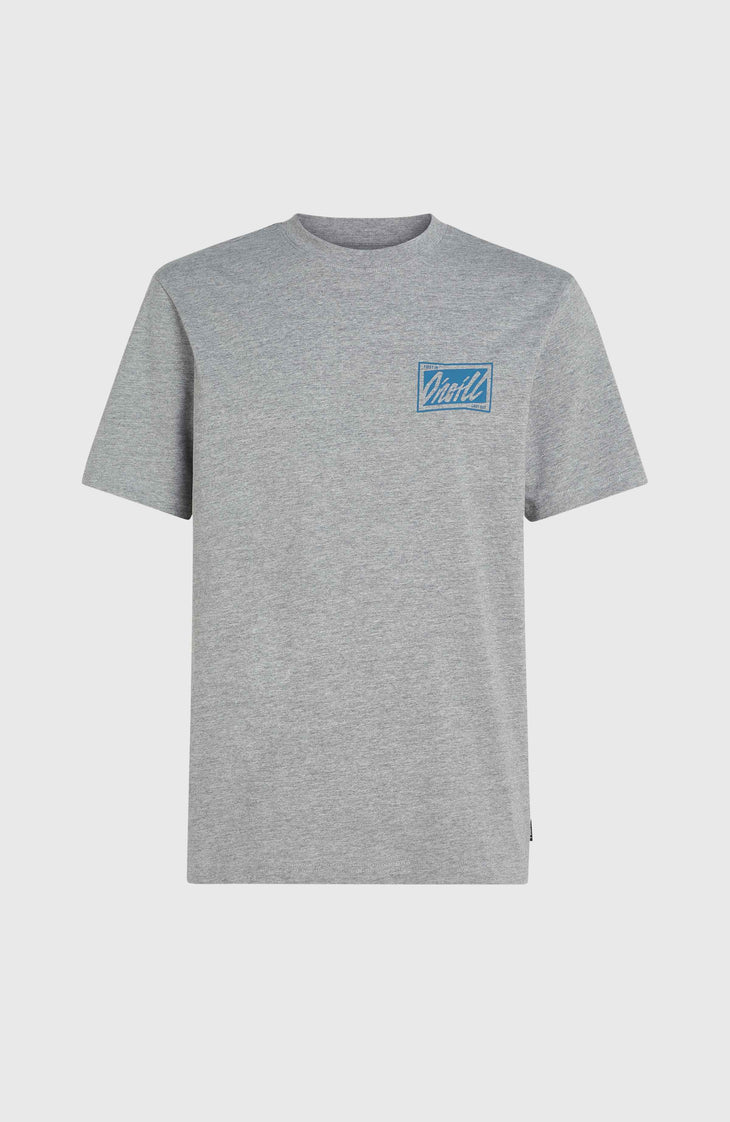 O'Neill Beach Graphic T-shirt | Silver Melee