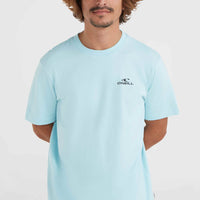 Jordy Smith Fill T-shirt | Turquoise