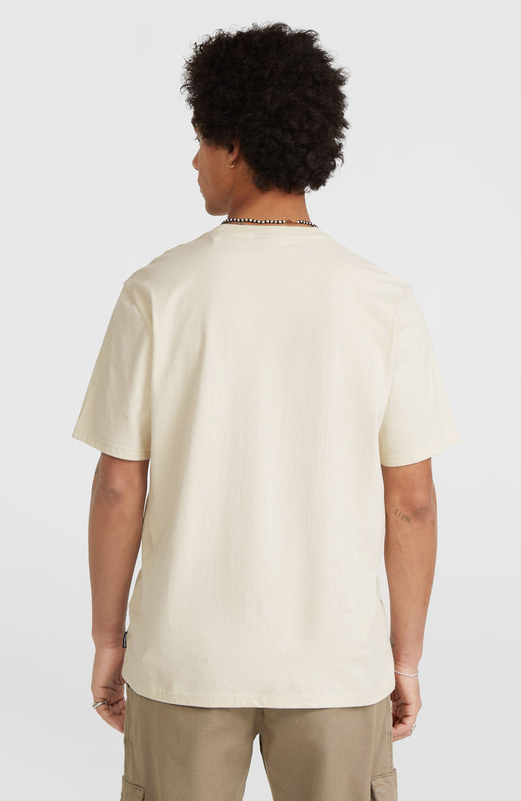 Ikat Stripe T-shirt | Atmosphere