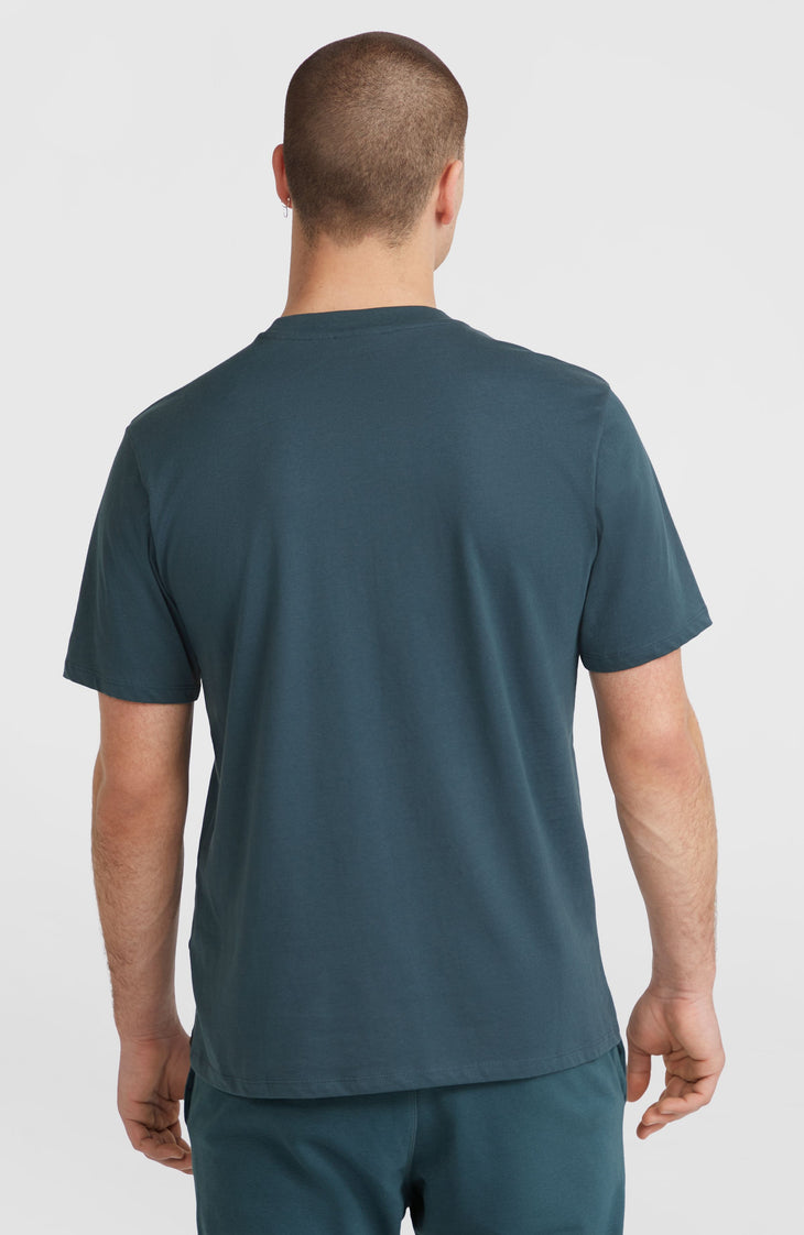 Logo T-shirt | Alma Steel