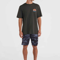 O'Neill Beach Graphic T-shirt | Raven