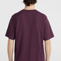 Future Surf Society T-shirt | Aubergine