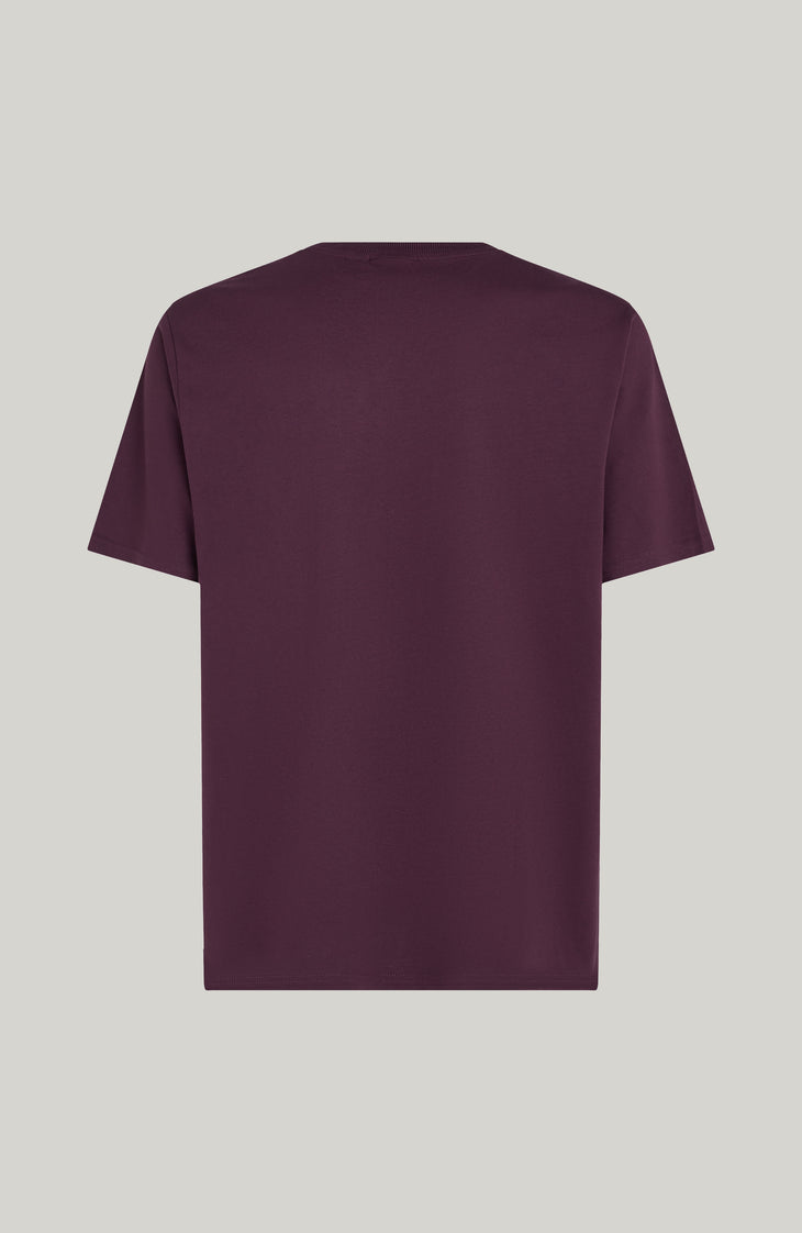 Future Surf Society T-shirt | Aubergine