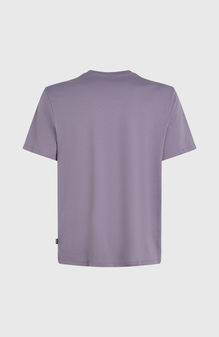 Gradient T-shirt | Storm