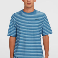 Yarn Stripe T-shirt | Blue Cali Tee Stripe