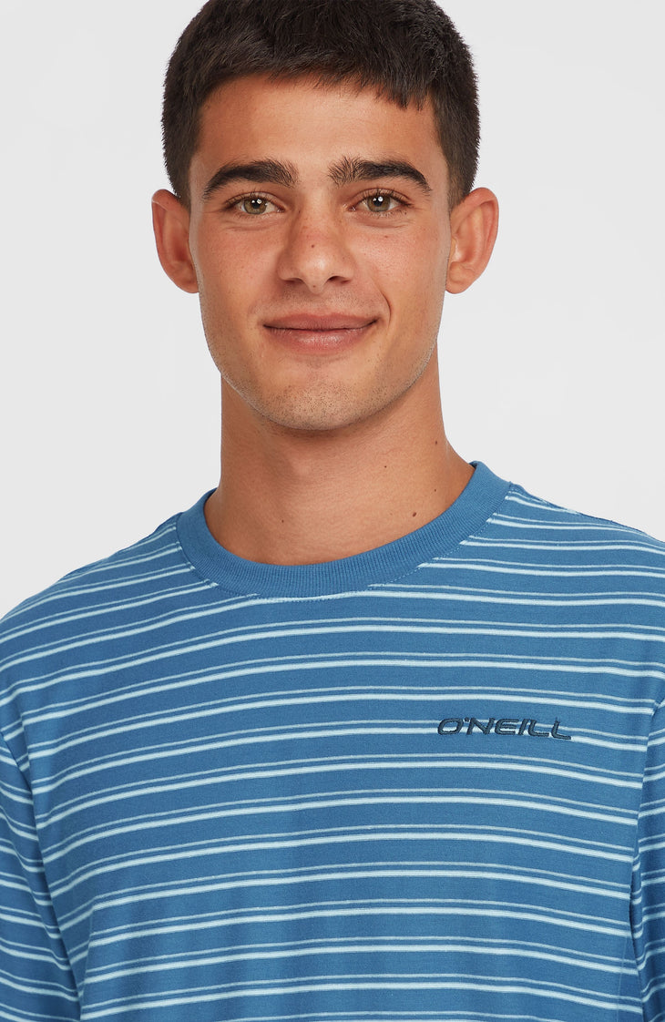 Yarn Stripe T-shirt | Blue Cali Tee Stripe