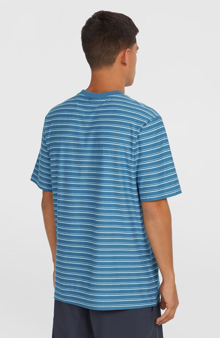 Yarn Stripe T-shirt | Blue Cali Tee Stripe