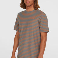 Yarn Stripe T-shirt | Grey Cali Stripe