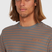 Yarn Stripe T-shirt | Grey Cali Stripe